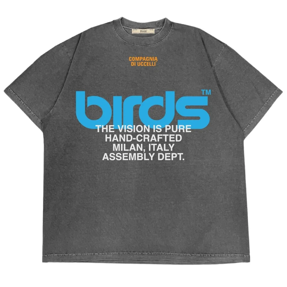 Birds "Multicolor" Cement Industrial Oversized S/S T-Shirt