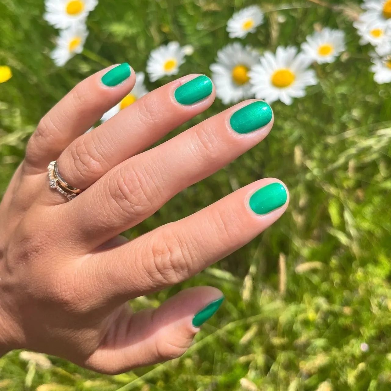 Fir Sure -Emerald Shimmer Green