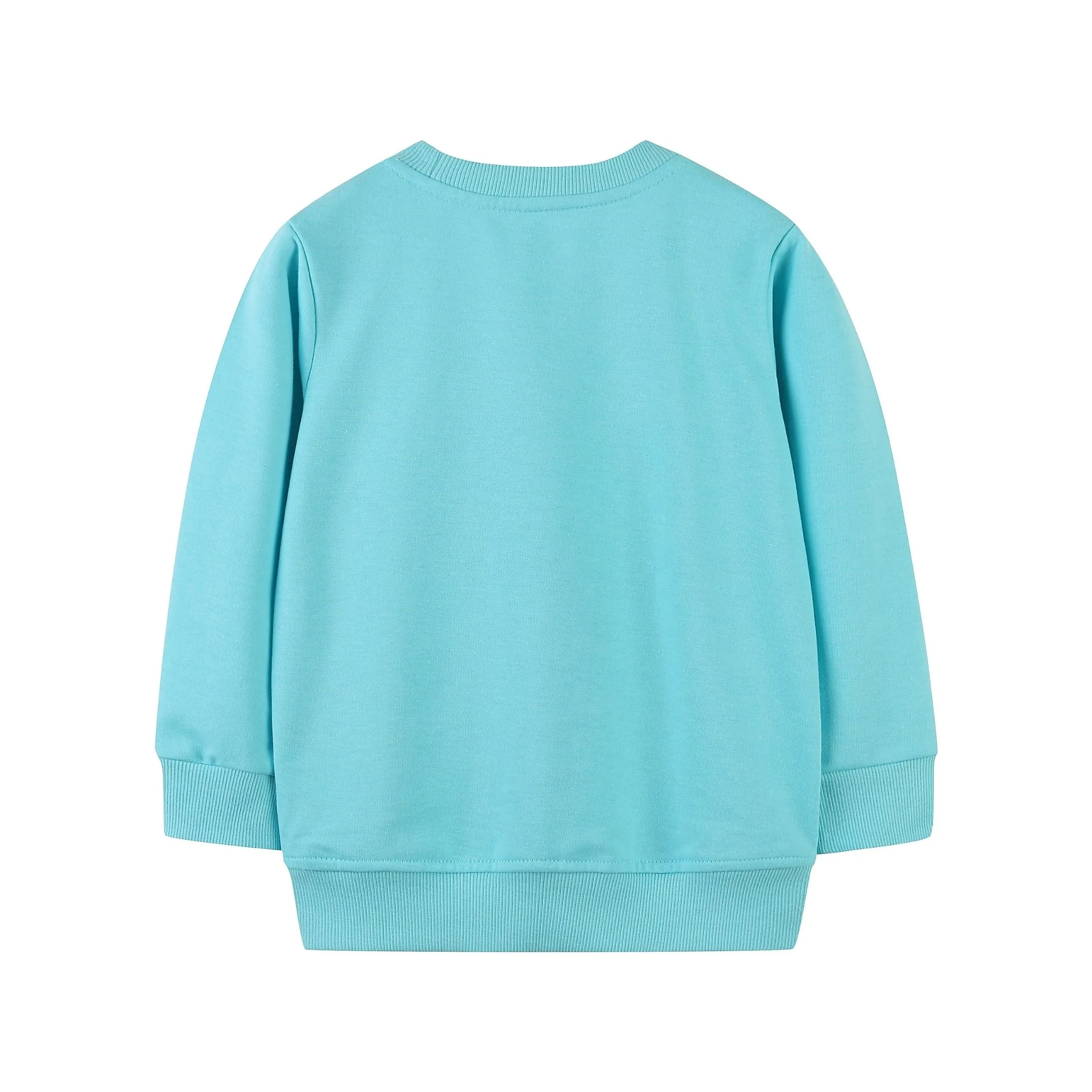 Little Unicorn Round Neck Sweat Shirt for Girls   (Teal)